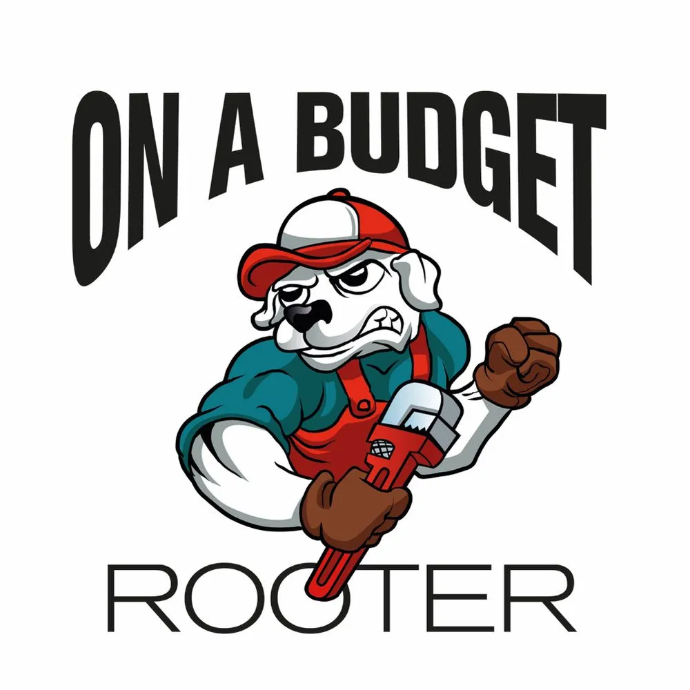 Slide of On A Budget Rooter