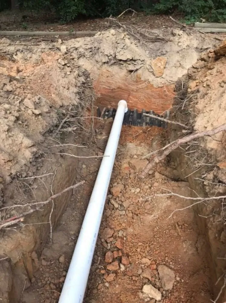 Slide of On point septic