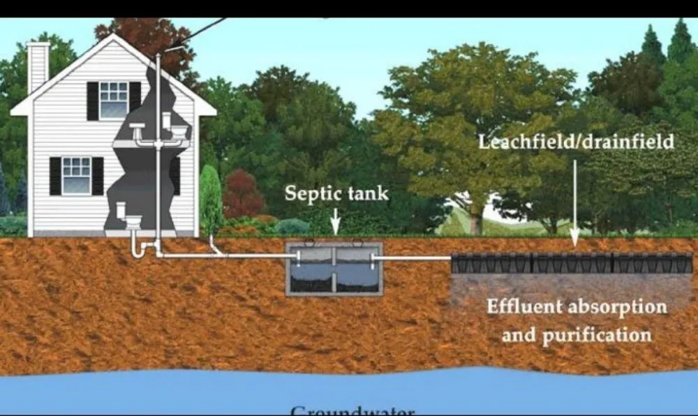 Slide of On point septic