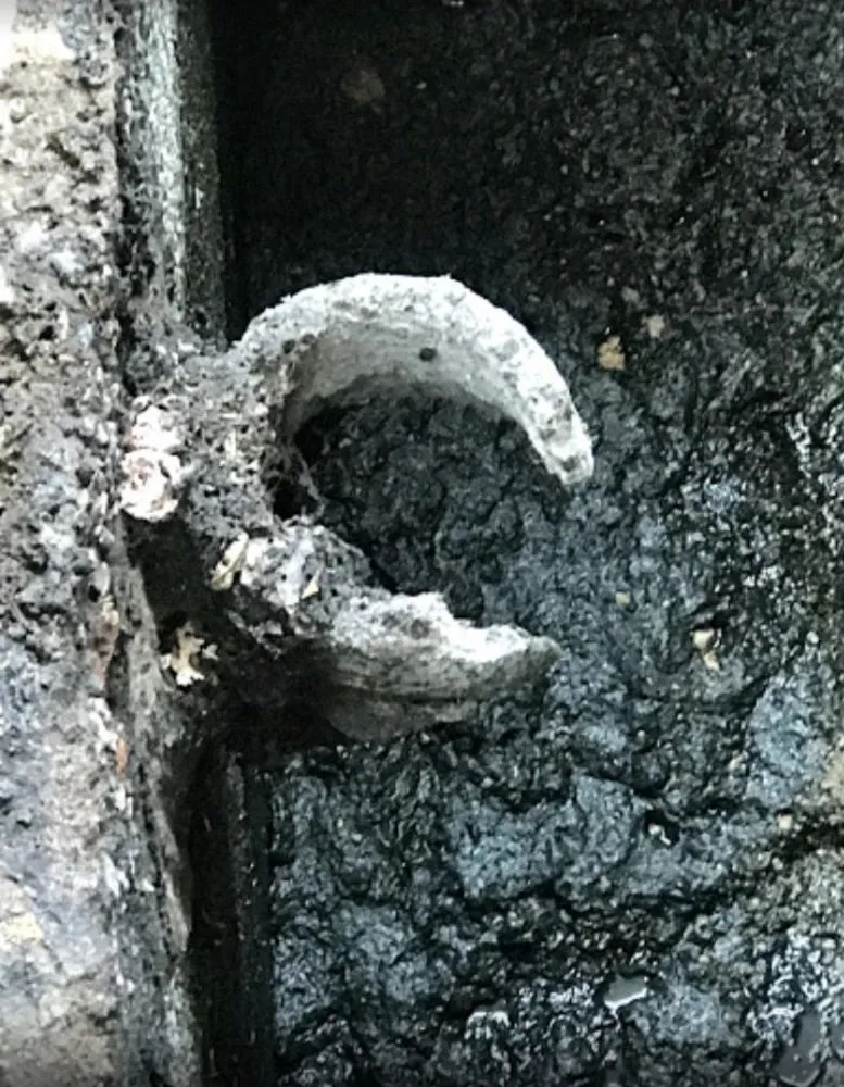 Affordable emergency plumbing for homes in Griffin, GA by On point septic