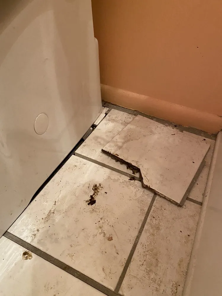 Slide of On Services