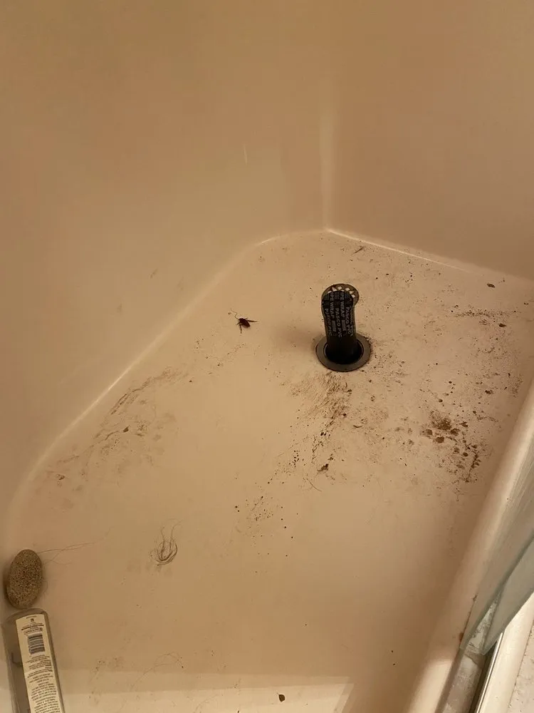 Slide of On Services