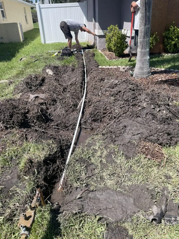 Slide of On the spot