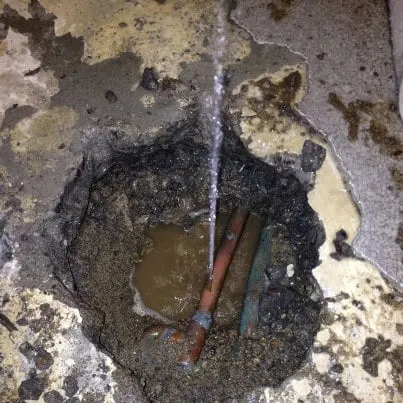 Slide of On The Spot Leak Detection