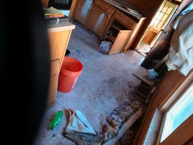 Slide of One & Done Finish N Touch