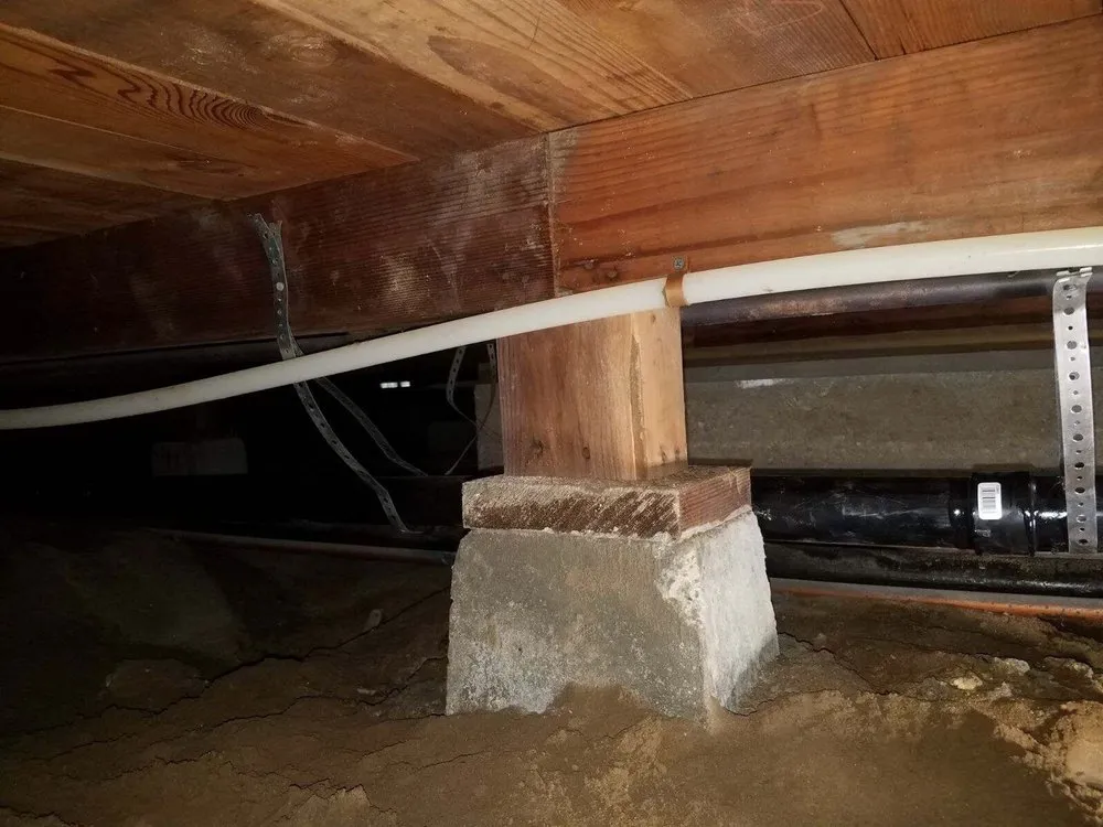 Reliable emergency plumbing for homes in Buena Park, CA by One Pro Plumbing