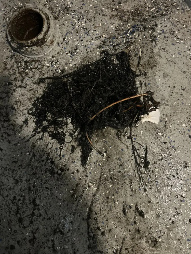 Slide of One stop sewer and drain cleaning