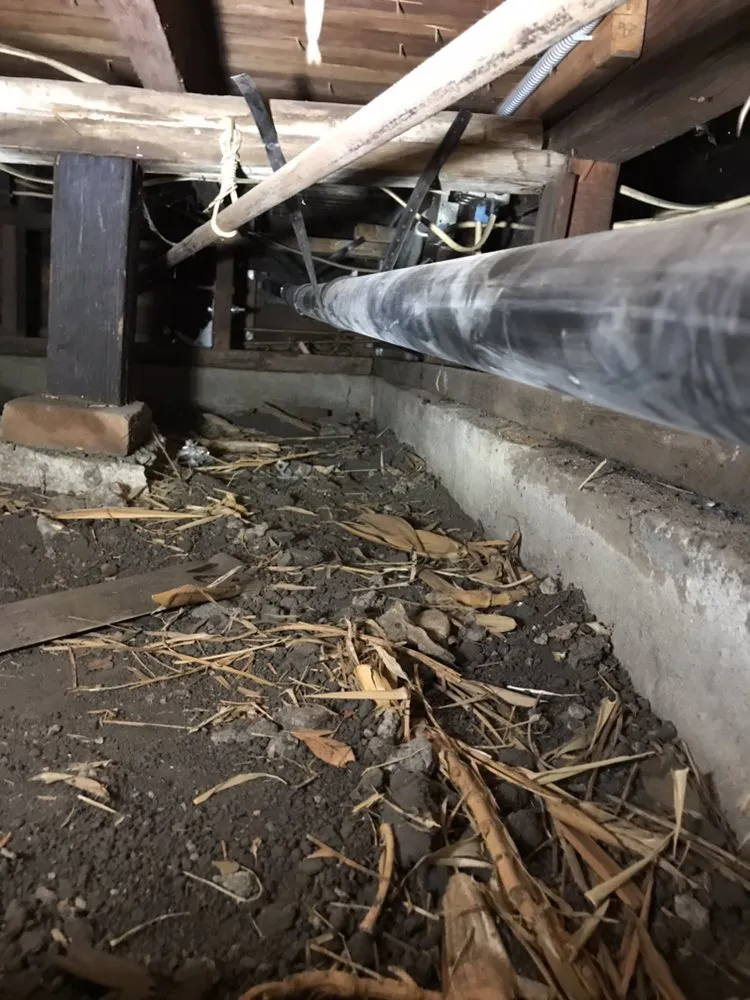 Slide of One Time Plumbing