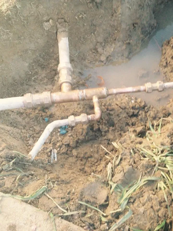 Slide of One Way Rooter