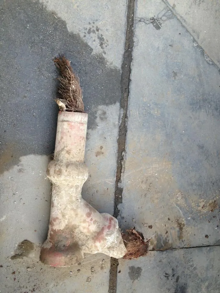 Slide of One Way Rooter