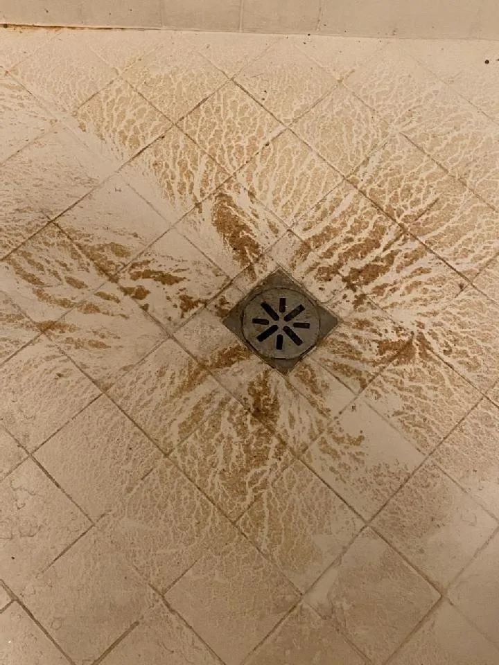 Slide of One Way Rooter