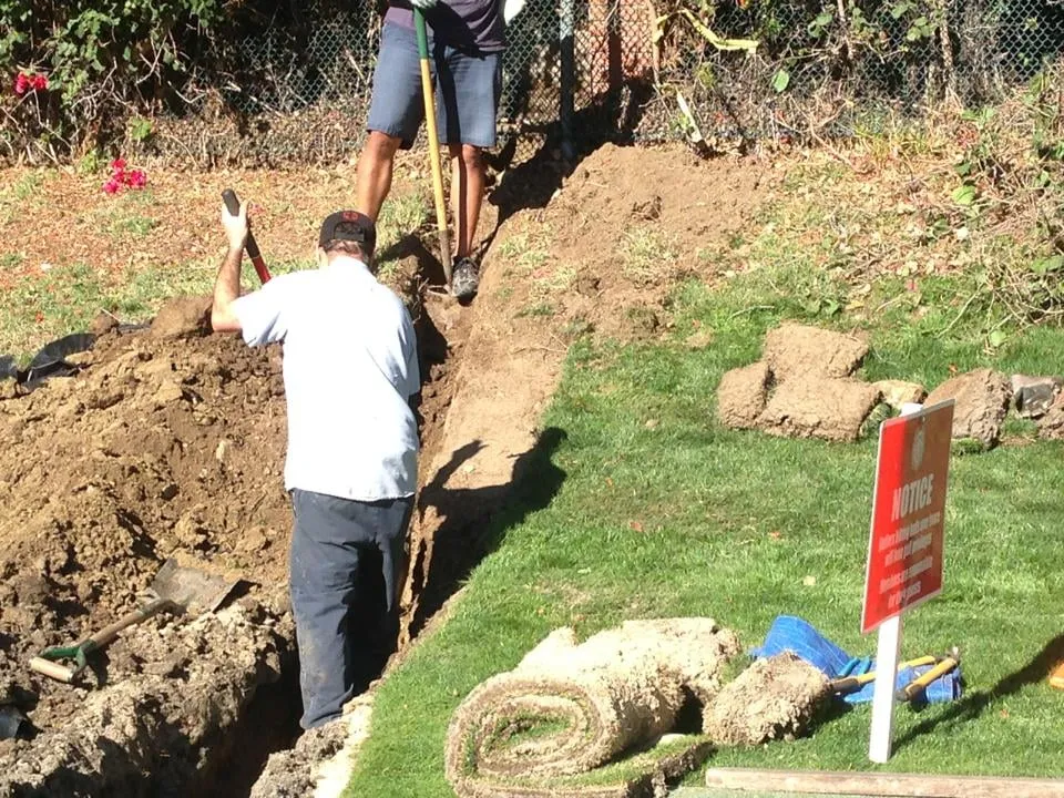 Slide of One Way Rooter