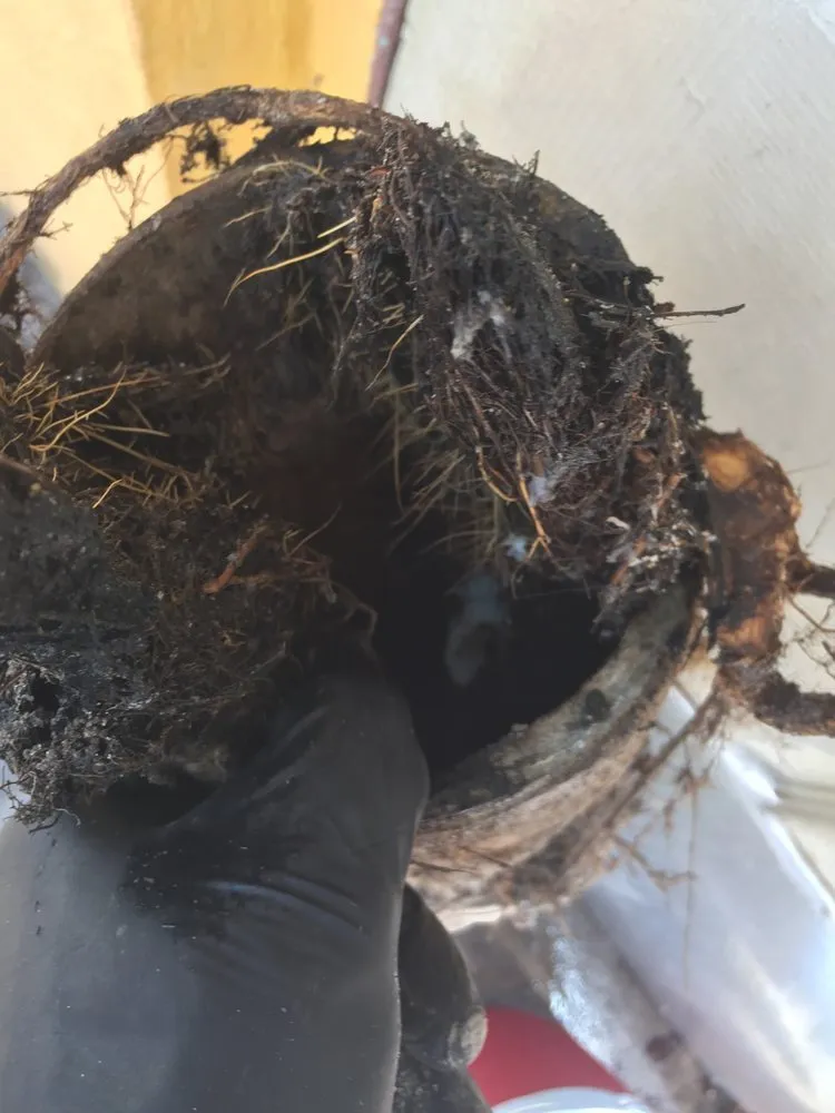 Slide of One World Plumbing & Inspectations