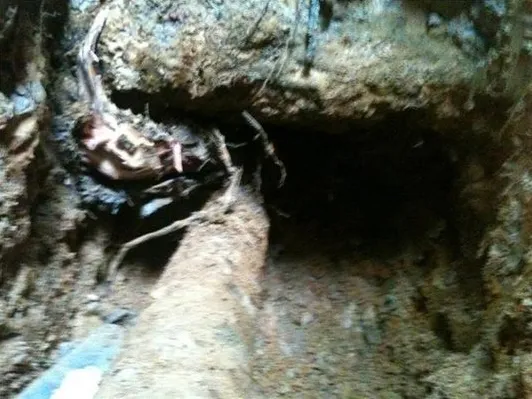 Slide of O'Neill Plumbing