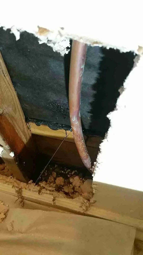 Slide of OneStop Plumbers - Plumbing & Leak Detection