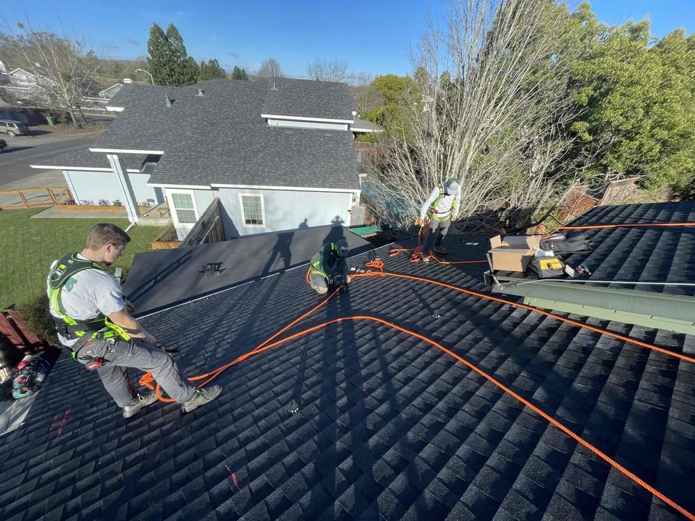 Slide of Ongaro & Sons