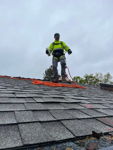 Slide of Ongaro & Sons