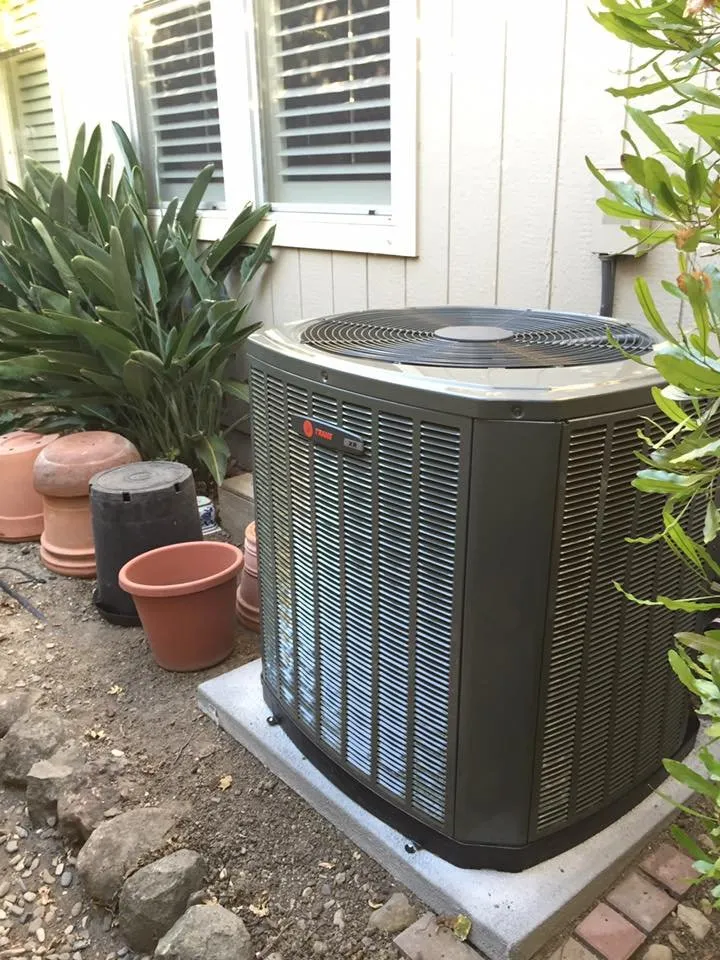 Slide of Ongaro & Sons