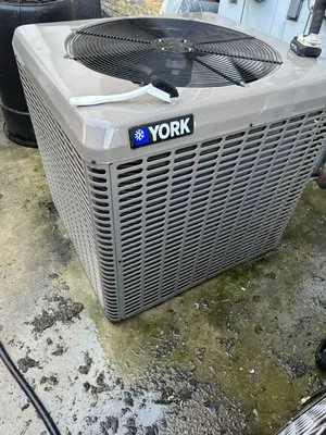 Only Foster Home Services