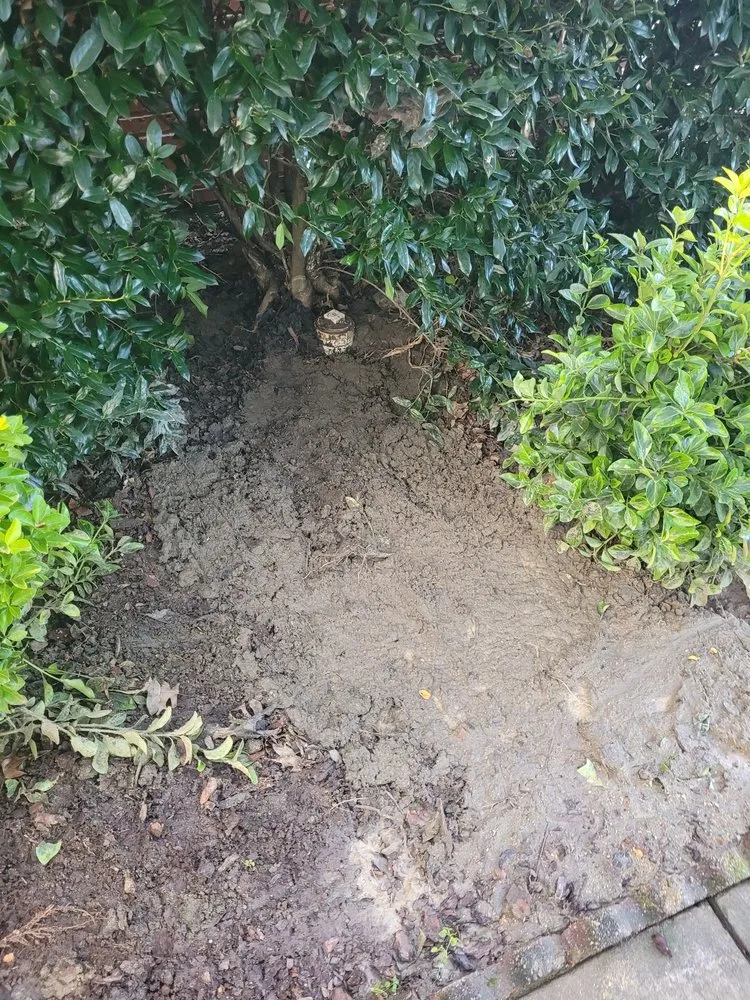 Reliable leak detection service in Clover, SC - Option One Plumbing