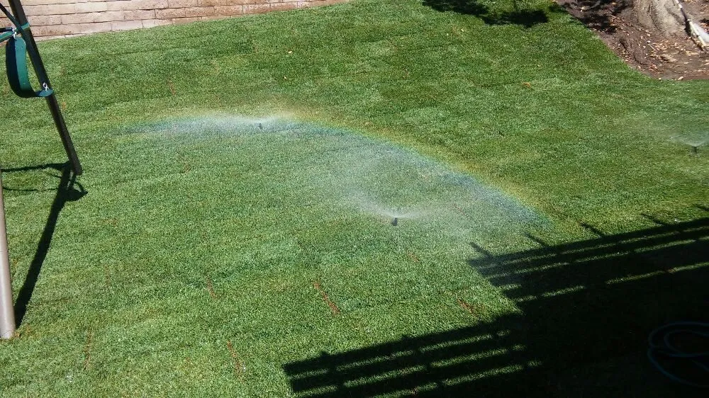 Top-rated leak detection for homes in Tustin, CA by Orange County Sprinkler Repair
