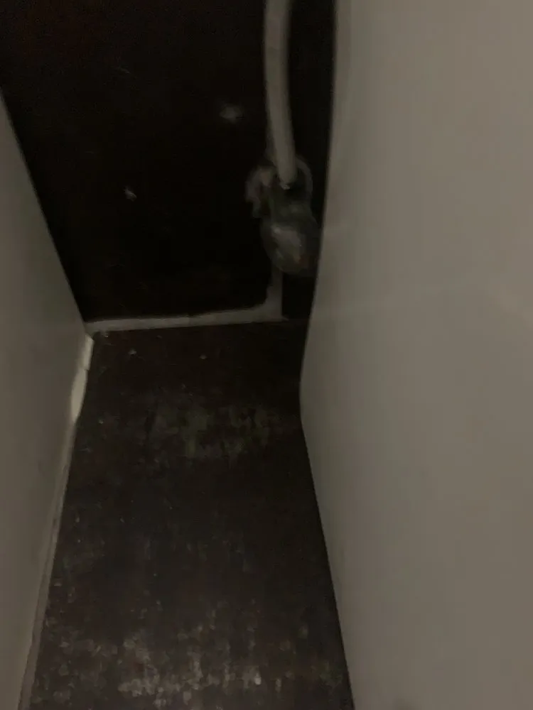 Slide of Orange Plumbing