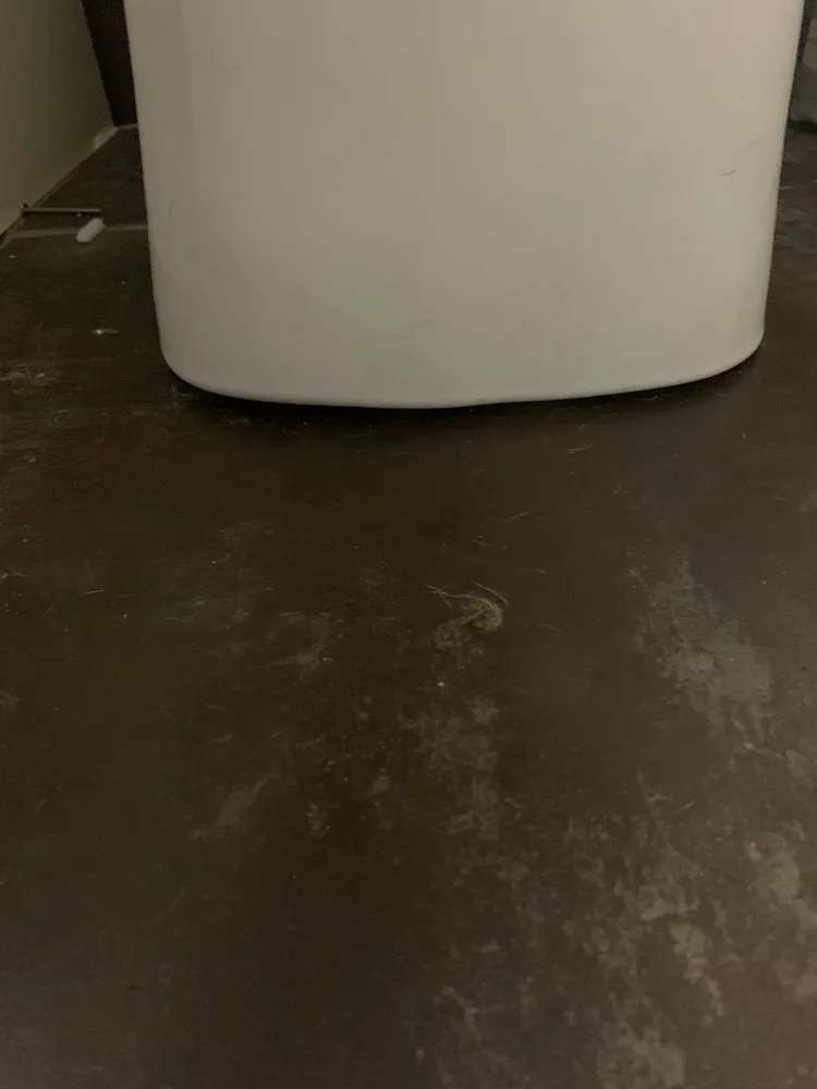 Slide of Orange Plumbing