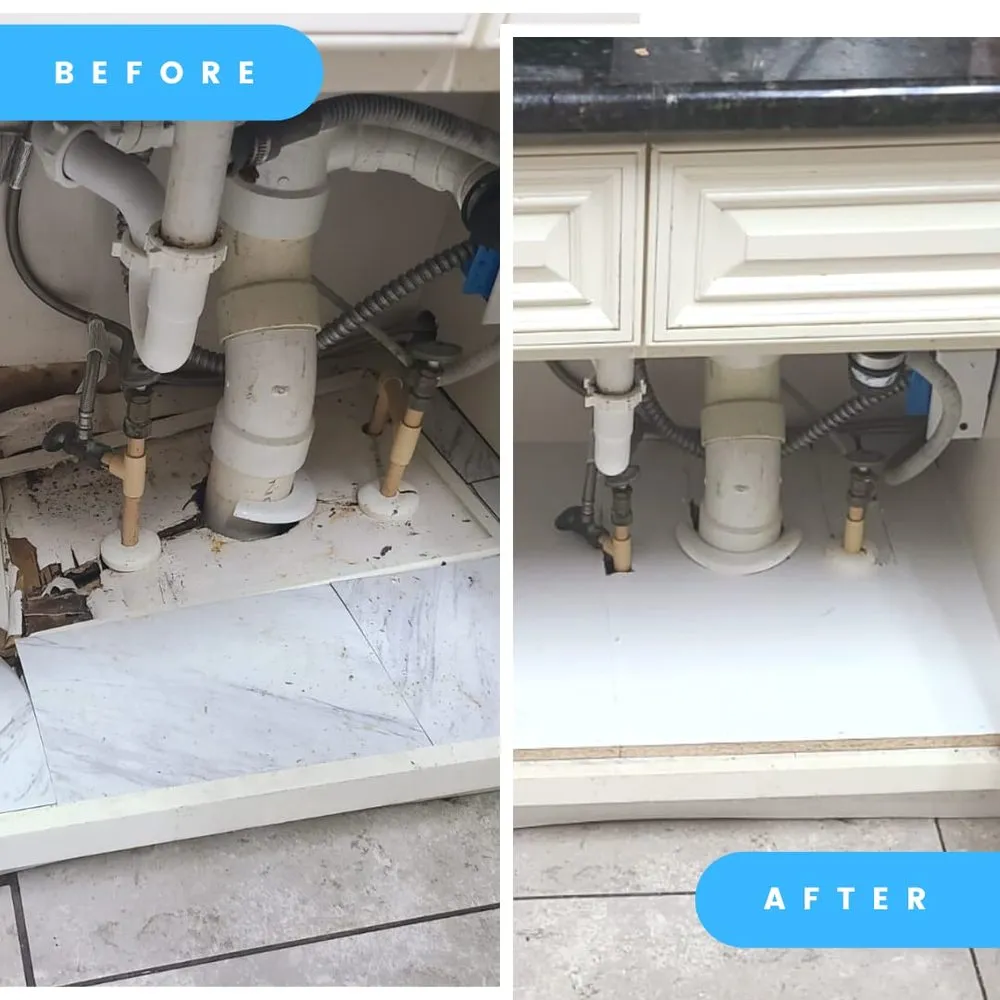 Quality leak detection experts serving St. Cloud, FL - OrgaNICE Solutions