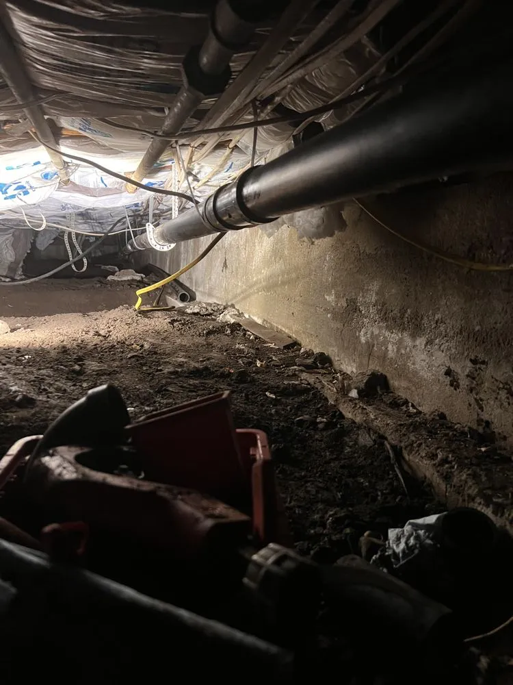 Trusted drain cleaning in Rohnert Park, CA by Oria Plumbing