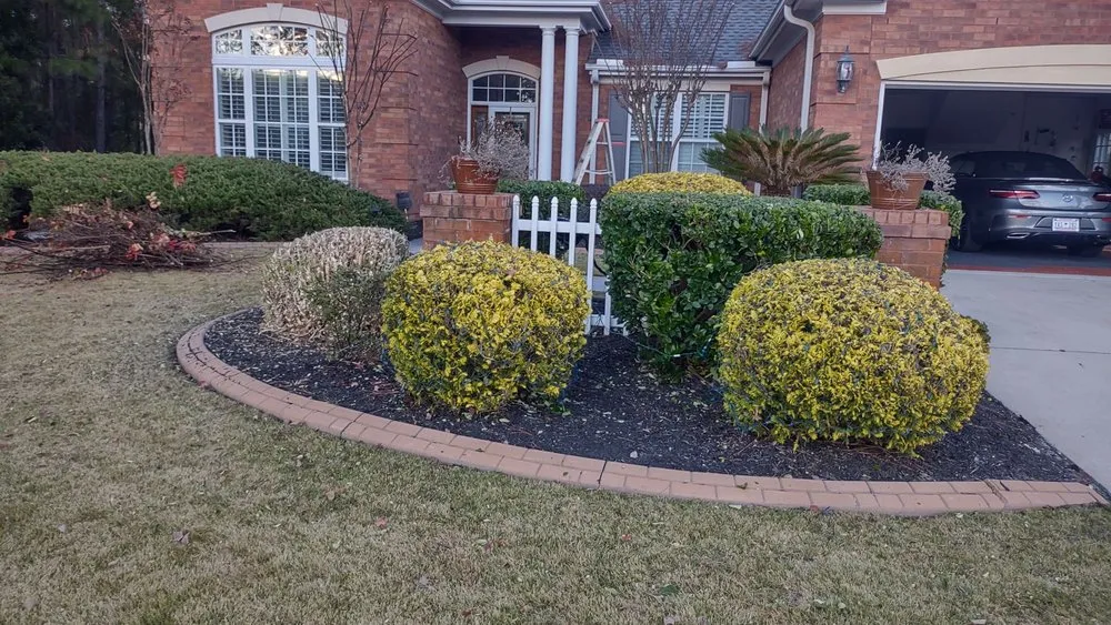 Reliable plumbing repair experts serving Georgetown, SC - Orlando's Lawn Care Services