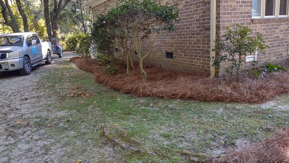 Expert drain cleaning in Georgetown, SC by Orlando's Lawn Care Services