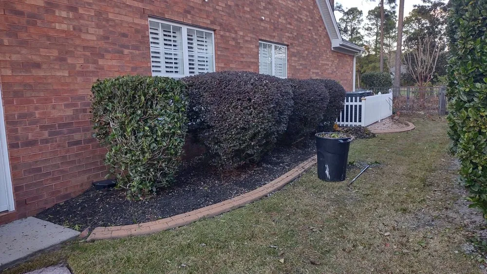 Top-rated pipe repair for homes in Georgetown, SC by Orlando's Lawn Care Services