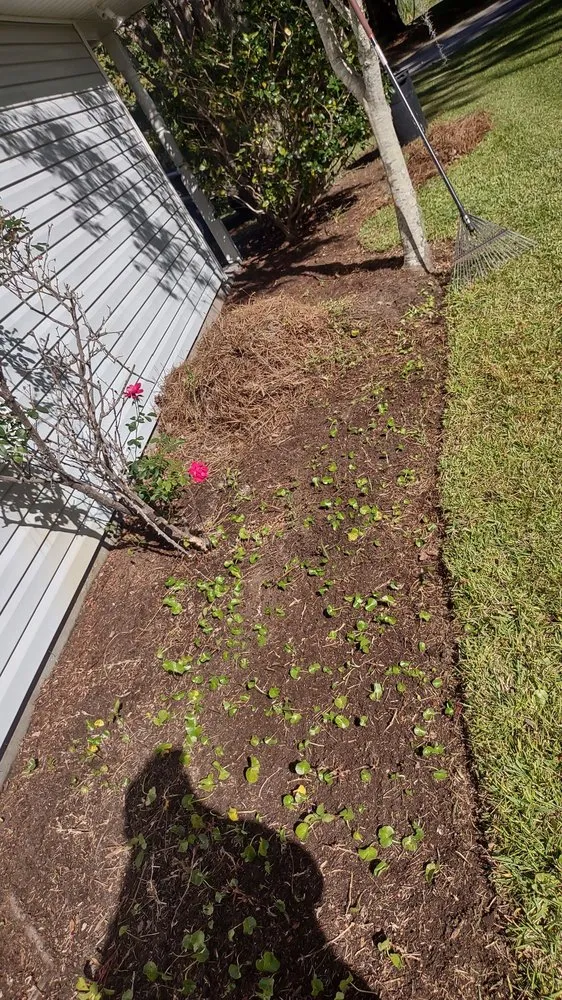 Slide of Orlando's Lawn Care Services