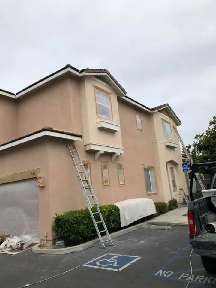 Slide of Ortega's Painting