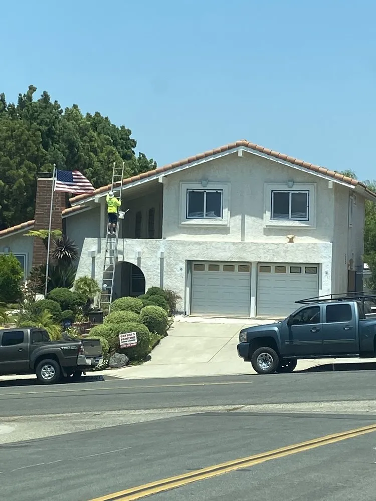 Slide of Ortega's Painting