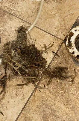 Osceola Sewer and Drain Cleaning Logo