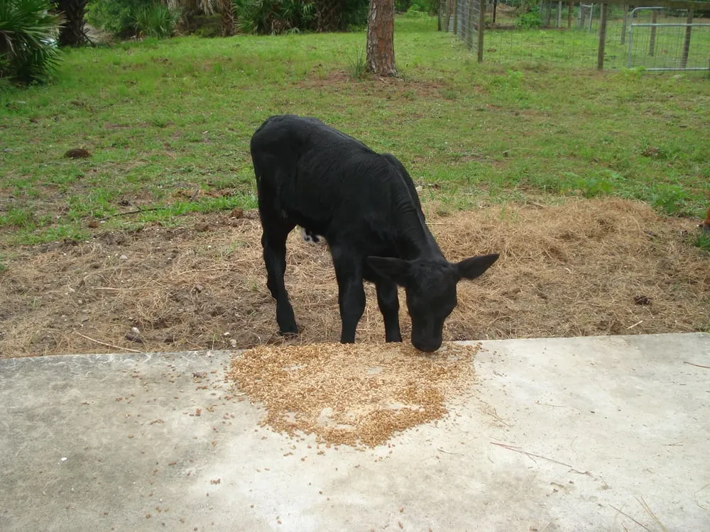 Slide of OSteen Plumbing Company