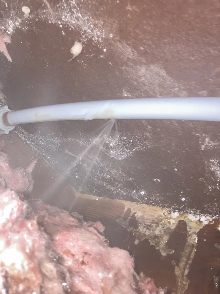 Slide of Otter Plumbing