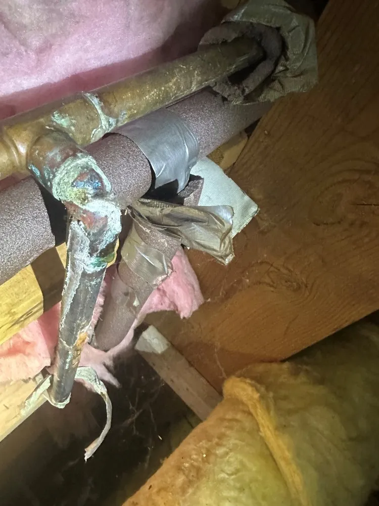 Slide of Otter Plumbing