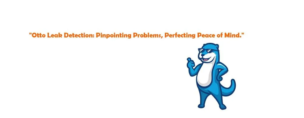 Slide of Otto Leak Detection