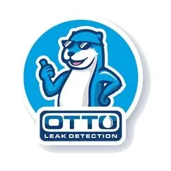 Slide of Otto Leak Detection