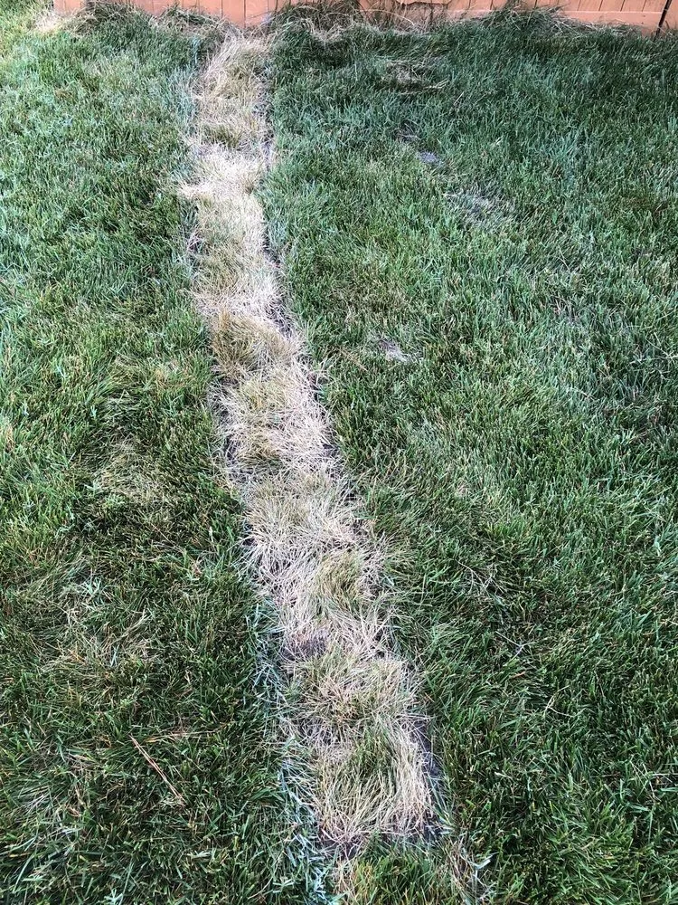 Slide of Outdoor Drainage Solutions