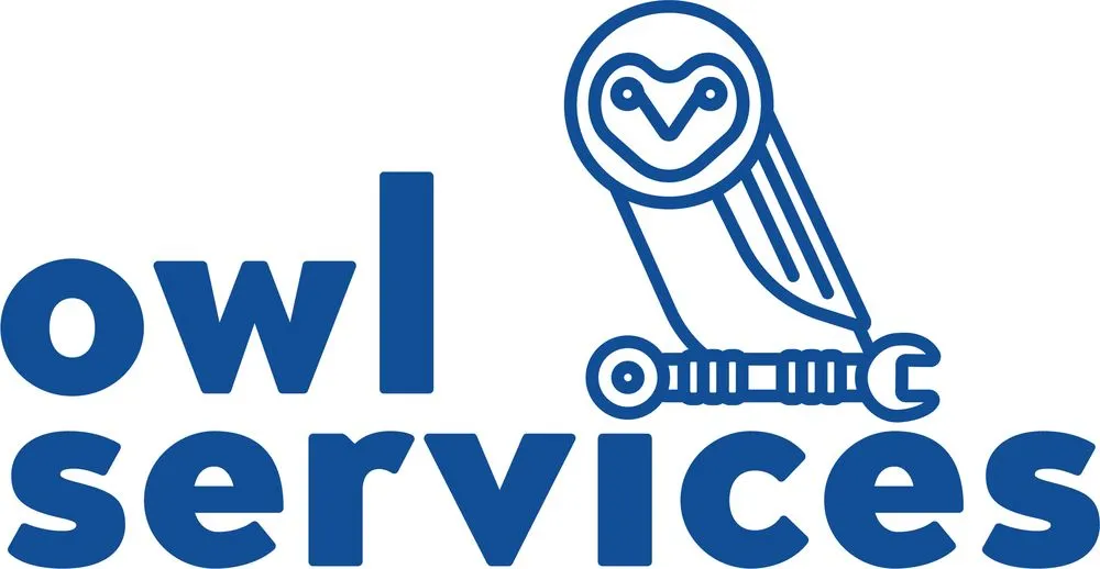 Slide of Owl Services
