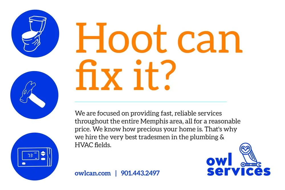 Slide of Owl Services