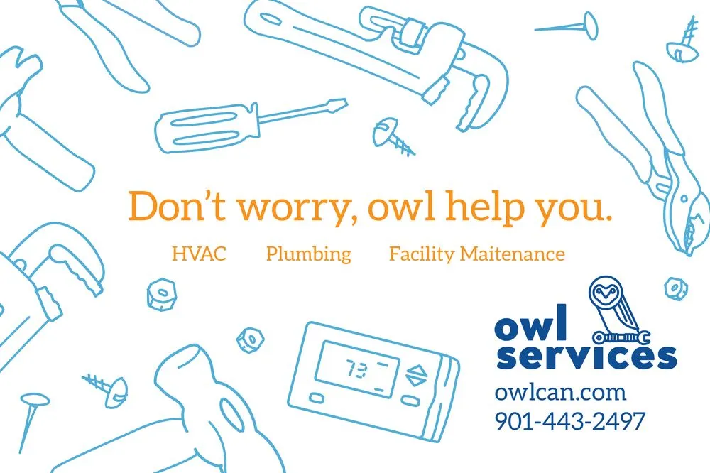 Slide of Owl Services