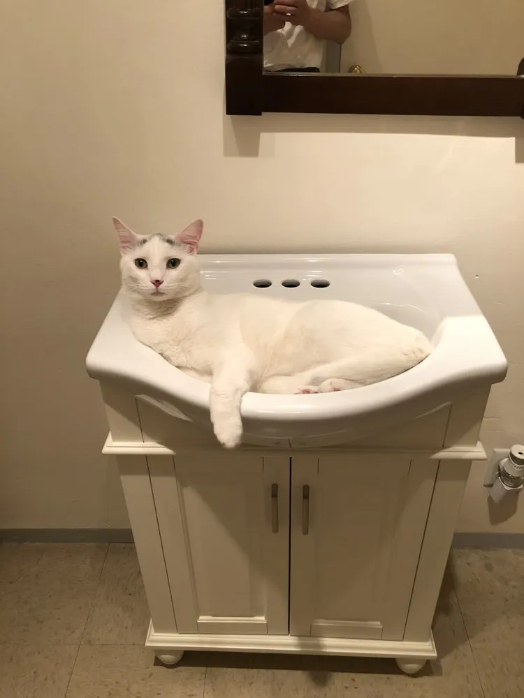 Slide of P Eliza Plumbing And Heating