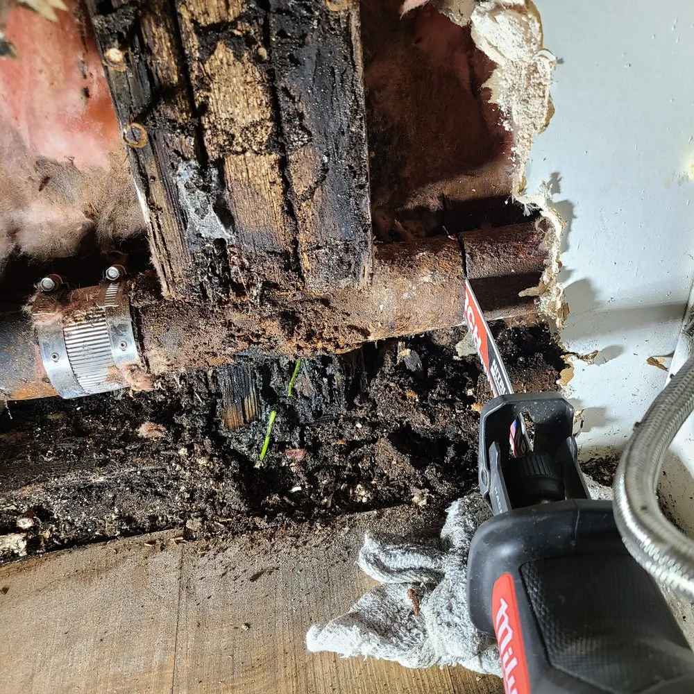 Slide of P Femenia & Sons