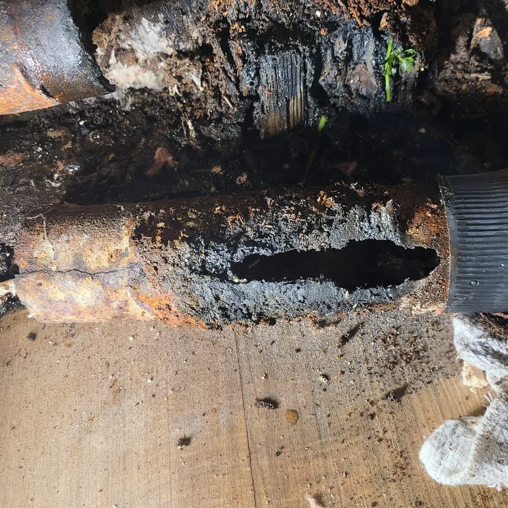 Slide of P Femenia & Sons