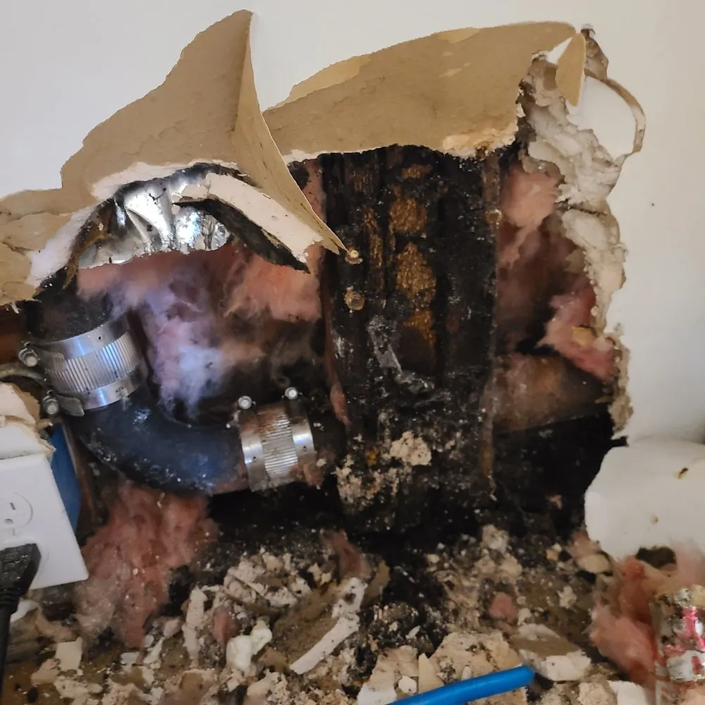 Slide of P Femenia & Sons