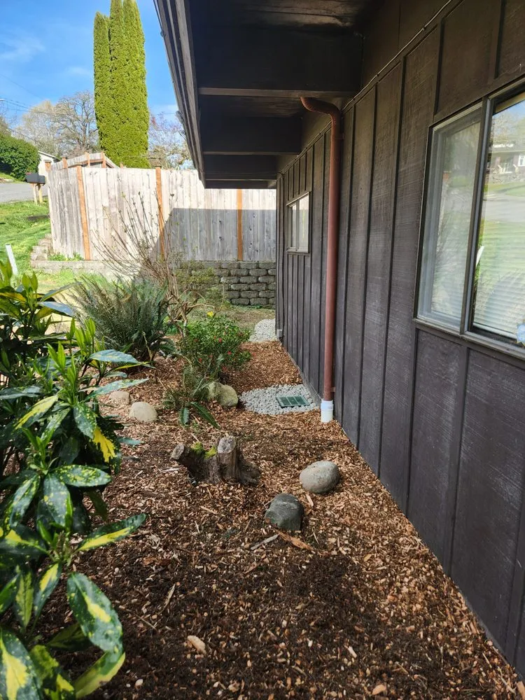 Slide of P4 Construction